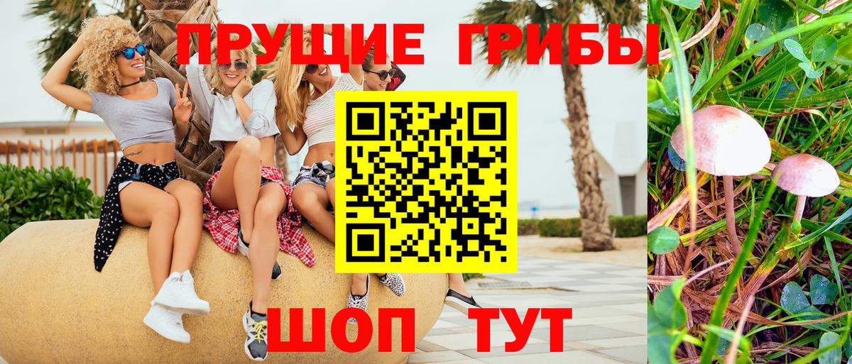 Верхняя Салда  Псилоцибиновые грибы GOLDEN TEACHER  Вход с VPN 